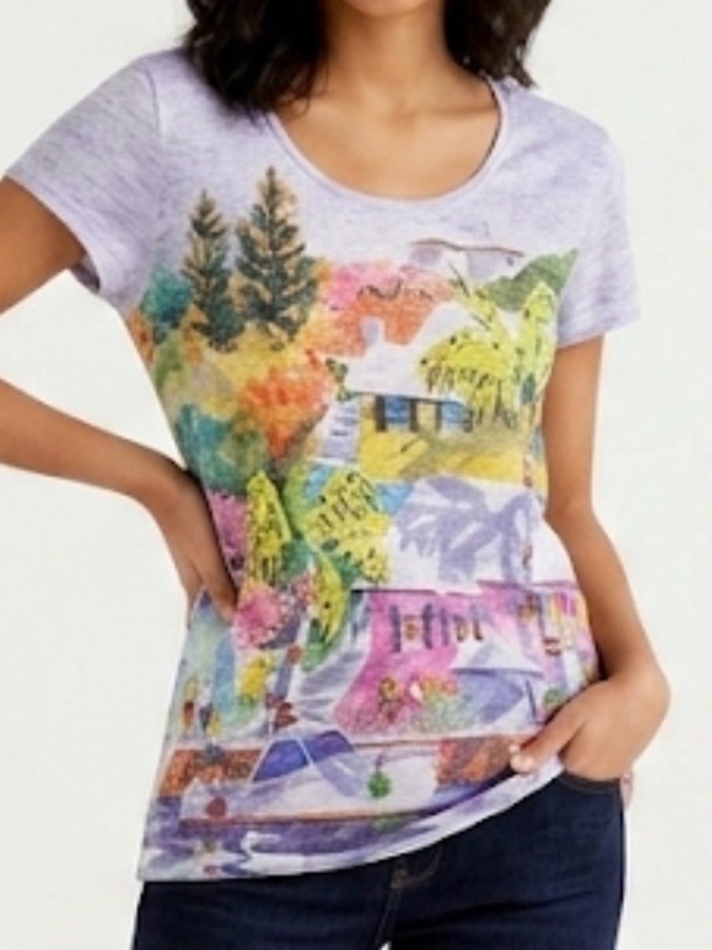 Ellen Negley Women’s Lavender Scenic Short Sleeved Graphic Tee Size Large